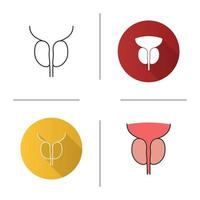 Prostate gland and urethra icon. Male reproductive system organ. Flat design, linear and color styles. Isolated vector illustrations