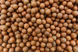 Macadamia nuts texture Background  with dried - Fresh macadamia nut shelled from natural high protein for to drying photo