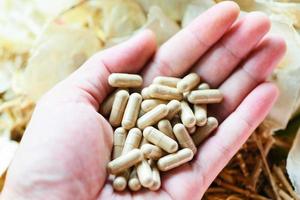 Herbal capsules from herbs healthy lifestyle - Herbal medicine extract from nature Non-toxic drug organic product on hand photo