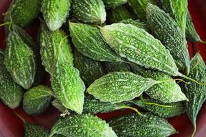 Green bitter gourd or bitter melon background - Fresh Momordica charantia fruit photo