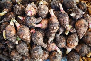 Pile of fresh taro roots background  Yautia Lila Satoimo potatoes photo