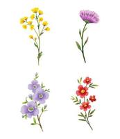 Wild flowers watercolor elements set. vector