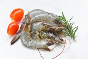 raw shrimps prawns with ingredients herb tomato rosemary - fresh shrimp on white plate background photo