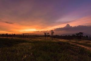 sunset on field and meadow green grass with rural countryside road and tree background photo