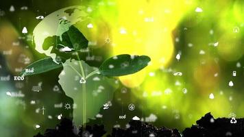 la tierra con holograma de signo de ecología ambiental sobre fondo natural. video