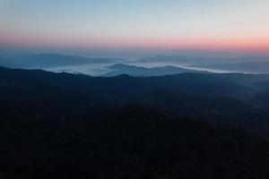 early morning sunrise in the forest photo