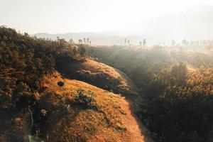 golden meadow in the mountains in the morning photo