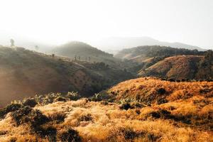 golden meadow in the mountains in the morning photo