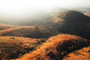 golden meadow in the mountains in the morning photo