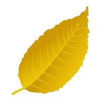 hoja caída de otoño. vector