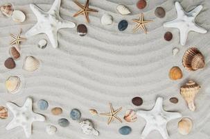 borde de conchas y estrellas de mar foto
