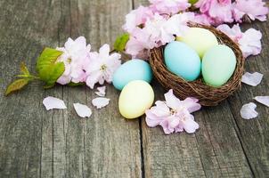 huevos de pascua y flor de sakura