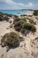 popular playa de elafonisi en el lado occidental de la isla de creta, grecia. foto