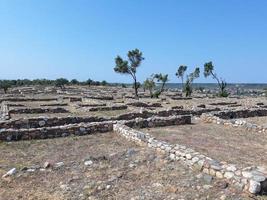 Olynthus ruins in Chalkidiki photo