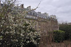 View of the city of Paris photo