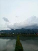 rice fields that have not been planted with rice. view of rice fields during the day with mountains in the background photo