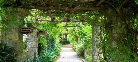 jardín con estructura de pérgola durante la temporada de verano. arquitectura y diseño inspirados en la naturaleza. foto