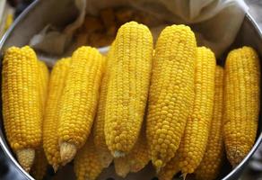 Closeup of sweet boiled corn photo