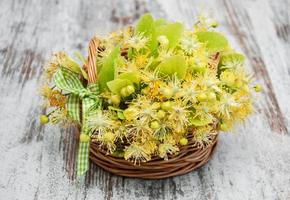 basket with lime flowers photo