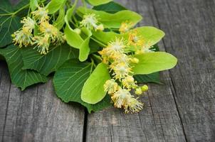 Linden flowers on the table photo