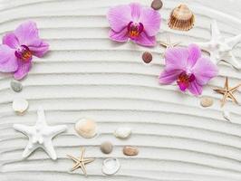 Seashells and starfish border photo