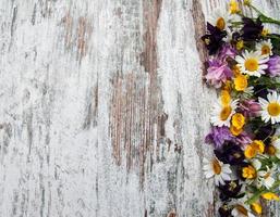 Wild flowers border photo