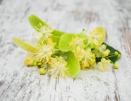 Linden flowers on the table photo