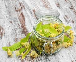 Jar with linden flowers photo