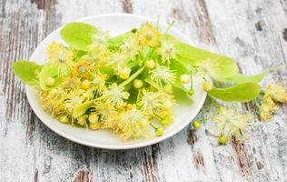 Plate with linden flowers photo