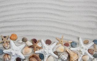 Seashells and starfish border photo