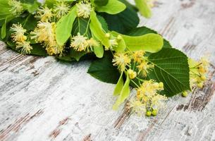 Linden flowers on the table photo