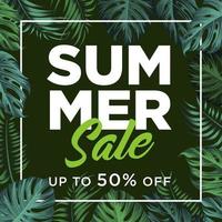 Summer Sale Banner Template  with tropical leaves background vector