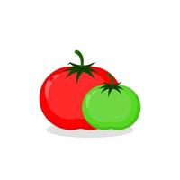 dos tomates de diferentes colores. tomates rojos y verdes vector