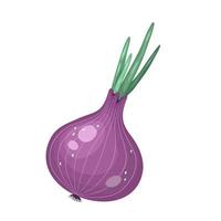 Whole onion. Flat simple design. Vector illustration of organic farm fresh vegetables. Isolated on white background.