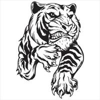 ataque de tigre, dibujo vectorial de cabeza de tigre, cara de tigre, dibujo coloreado de cabeza de tigre, logotipo y mascota de tigre, colmillos de tigre, ilustración vectorial en blanco y negro vector