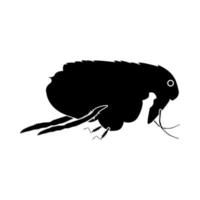 Flea it is black icon . vector