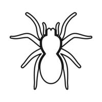 Spider or tarantula it is black icon . vector