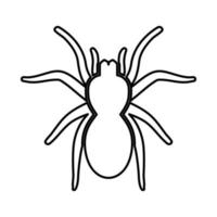 araña o tarántula es icono negro. vector