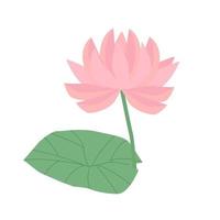 Isolated flat simple water lily, pink lotus with leaf vector