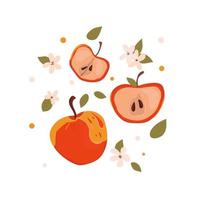 las frutas de las manzanas se dibujan en un estilo a mano alzada. conjunto de manzanas. manzana roja brillante. vector