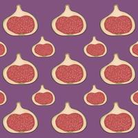 Figs on purple background. Fig pattern. Figs are drawn for the pattern. Pattern for fabrics, wallpapers, labels. vector