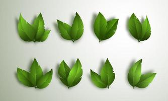 Set of green leaves isolated on white background. 3d elements for spring, summer design. Vector Illustration