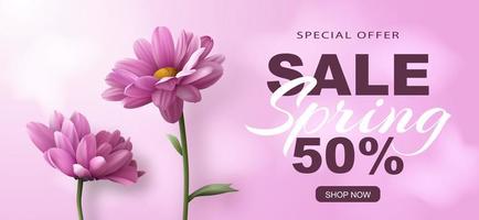 Special offer Spring sale banner with two realistic pink chrysanthemum flowers on a pink background and advertising discount text decoration. Vector illustration.