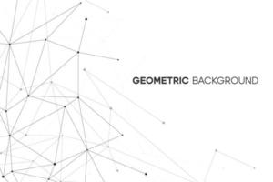 concepto de vector con línea de plexo. patrón de fondo de red. estructura geométrica abstracta con polígono y punto.