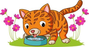 el gatito está bebiendo el agua en el jardín vector