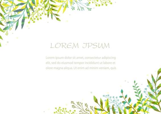 Botanical Frame Isolated On A White Background, Vector Illustration.