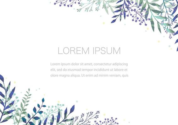 Botanical Frame Isolated On A White Background, Vector Illustration.