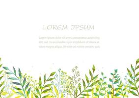 Seamless Floral Background Isolated On A White Background, Vector Illustration. Horizontally Repeatable.