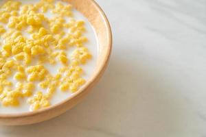 cereals with fresh milk photo