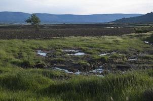 Landscape of the countryside after the rain. Grass, crop fields and mountains in the background. Soria, Spain photo